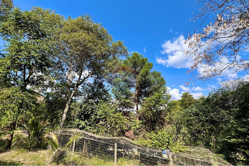 Casa - Venda - Juiz de Fora , Minas Gerais - IMG_7646.jpeg - 860501002-145