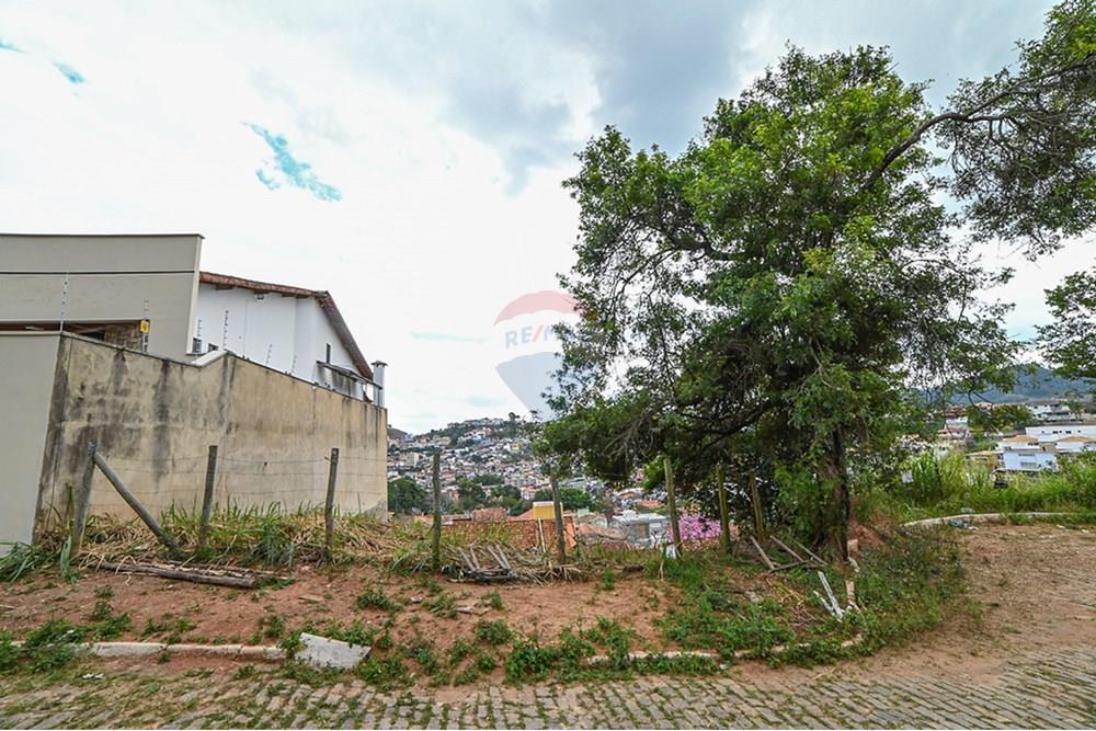 Terreno - Venda - Juiz de Fora , Minas Gerais - michaelseed.photo_remax semana 2-131-XL.jpg - 860211024-181