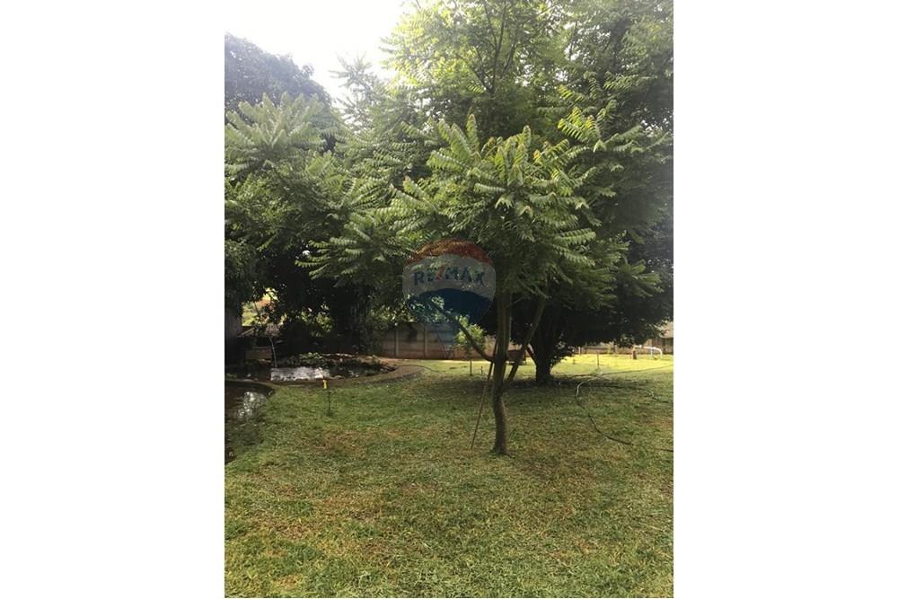 Chácara / Sítio / Fazenda - Venda - Lavras , Minas Gerais - WhatsApp Image 2024-11-06 at 17.03.13.jpeg - 860471035-5