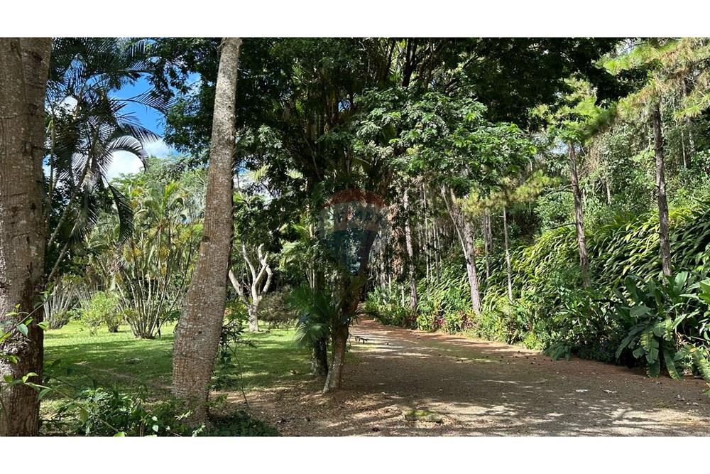 Chácara / Sítio / Fazenda - Venda - Matias Barbosa , Minas Gerais - 638ebc93-9f4d-4587-b9ad-359f0f2bf90a.JPG - 860291033-99