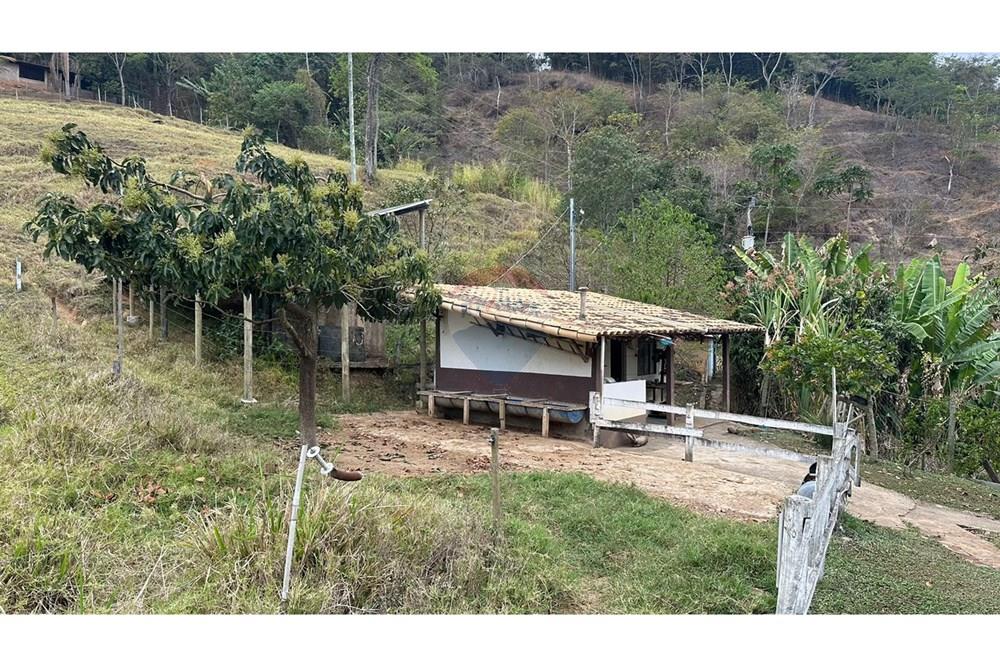 Chácara / Sítio / Fazenda - Venda - Juiz de Fora , Minas Gerais - WhatsApp Image 2025-02-12 at 18.14.54.jpeg - 860291033-75