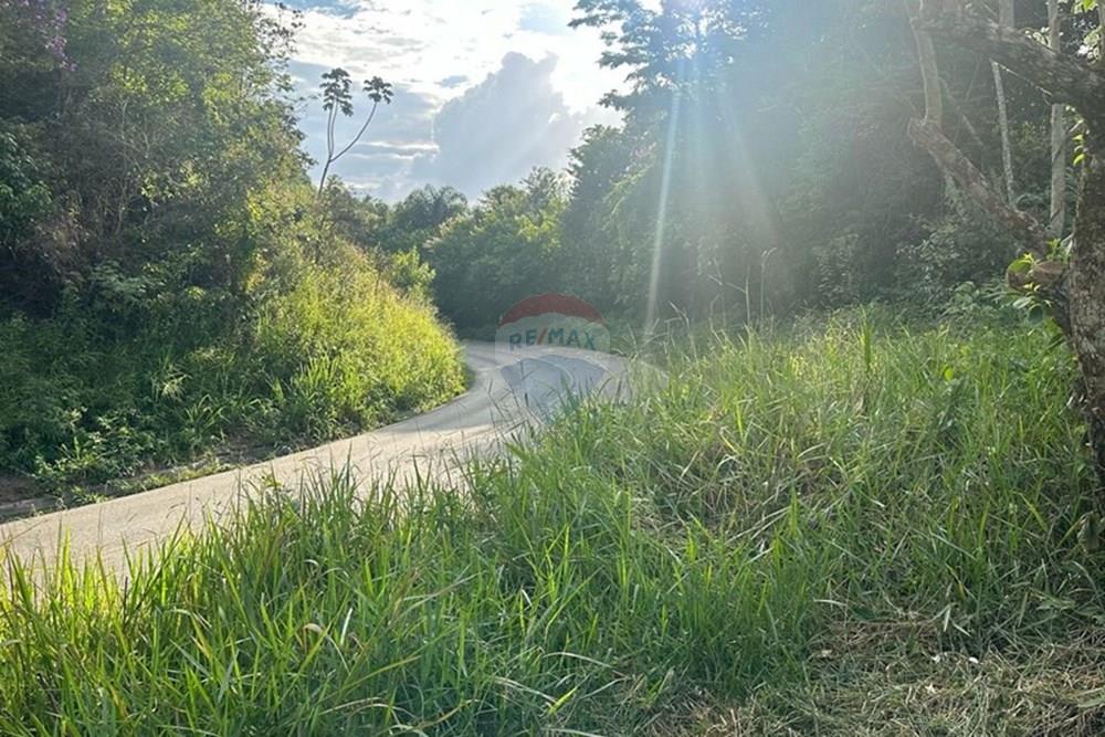 Terreno - Venda - Juiz de Fora , Minas Gerais - FOTO 4.JPG - 860291033-90