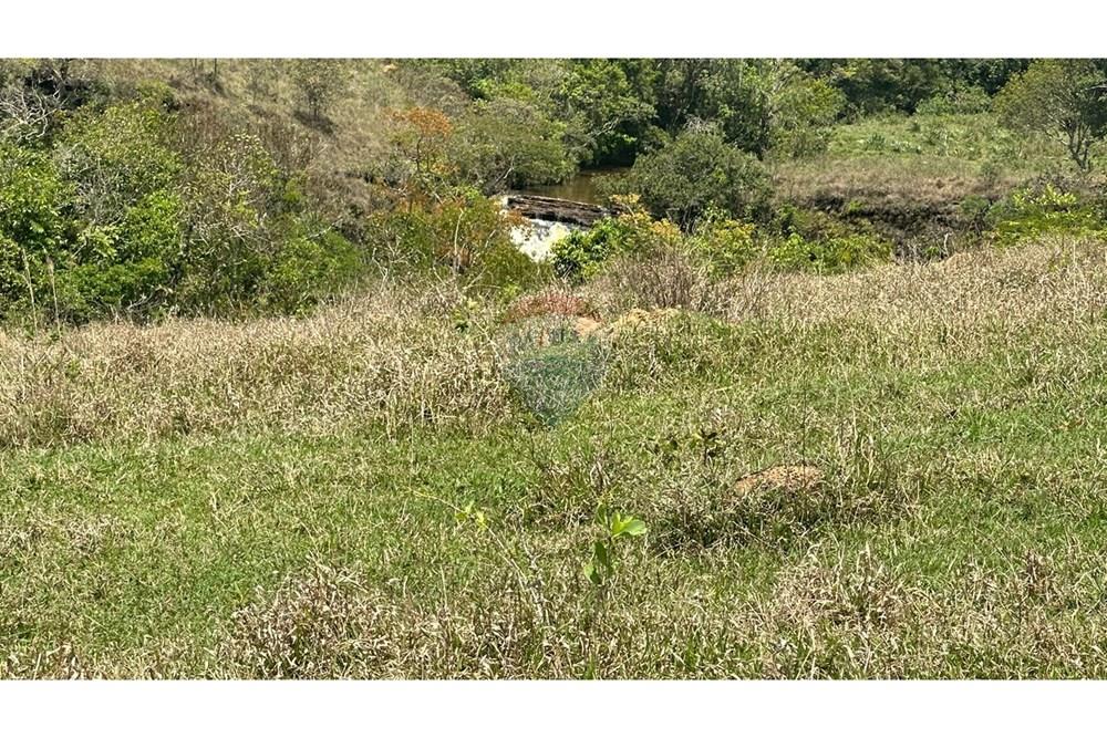 Chácara / Sítio / Fazenda - Venda - Santa Rita do Ibitipoca , Minas Gerais - 8aa514be-1fb0-4041-8301-0f3f36ef0a6d.JPG - 860291033-67