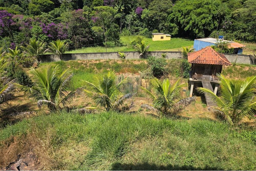 Chácara / Sítio / Fazenda - Venda - Ewbank da Câmara , Minas Gerais - 52.jpg - 860231001-211