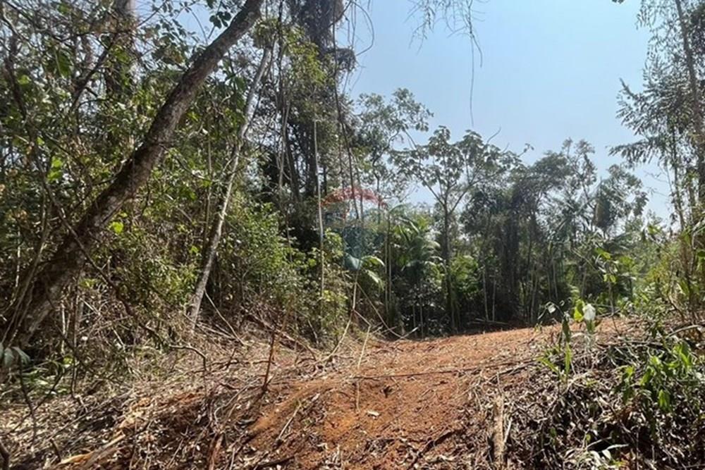 Chácara / Sítio / Fazenda - Venda - Juiz de Fora , Minas Gerais - IMG-20240918-WA0017.jpg - 860431023-209