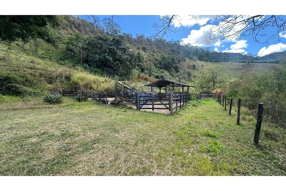 Chácara / Sítio / Fazenda - Venda - Santana do Deserto , Minas Gerais - IMG-20250926-WA0508.jpg - 860291041-20