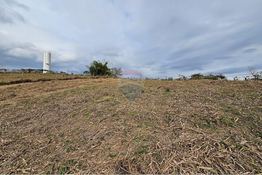 Residenziale - Terreno - Muriaé , Minas Gerais - BR - 20250815_085255.jpg - 860371002-183