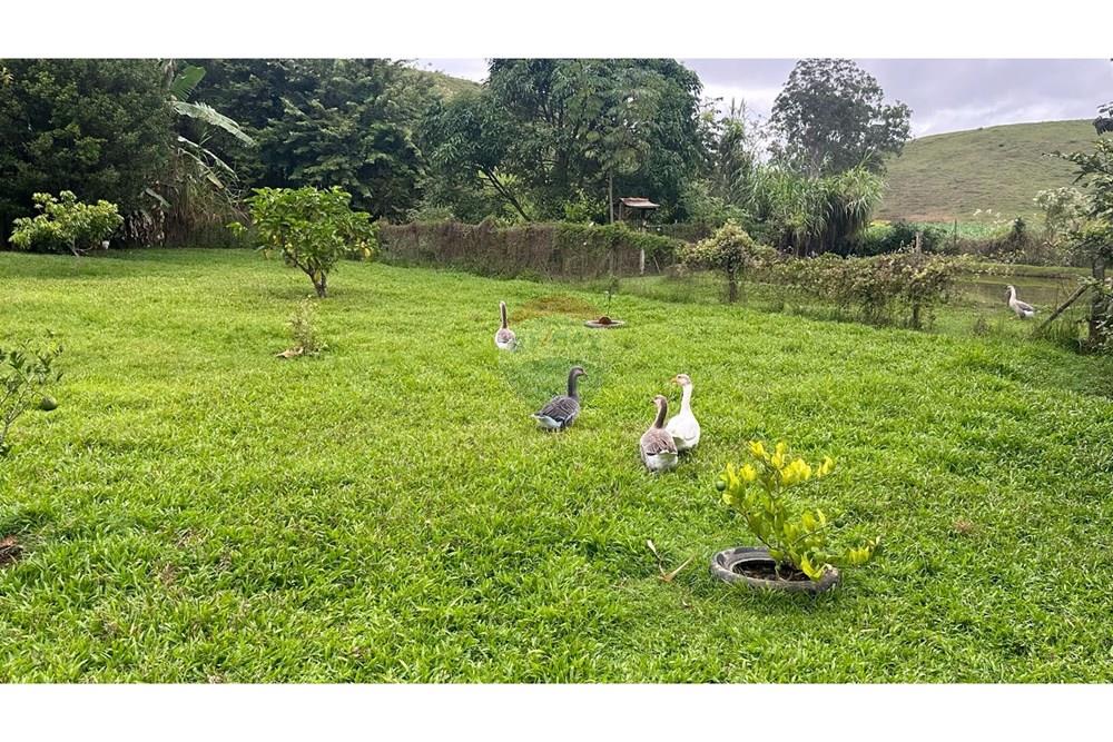 Chácara / Sítio / Fazenda - Venda - Rio Novo , Minas Gerais - RIO NOVO (48).JPG - 860291033-98