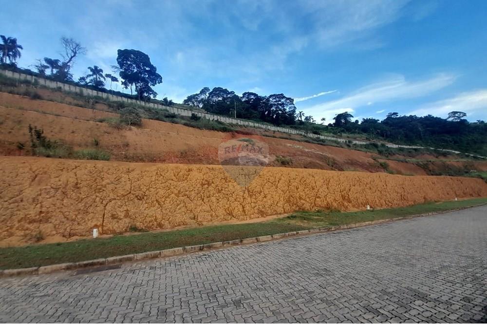 Terreno - Venda - Matias Barbosa , Minas Gerais - WhatsApp Image 2025-02-08 at 12.19.49(1).jpeg - 860381043-46