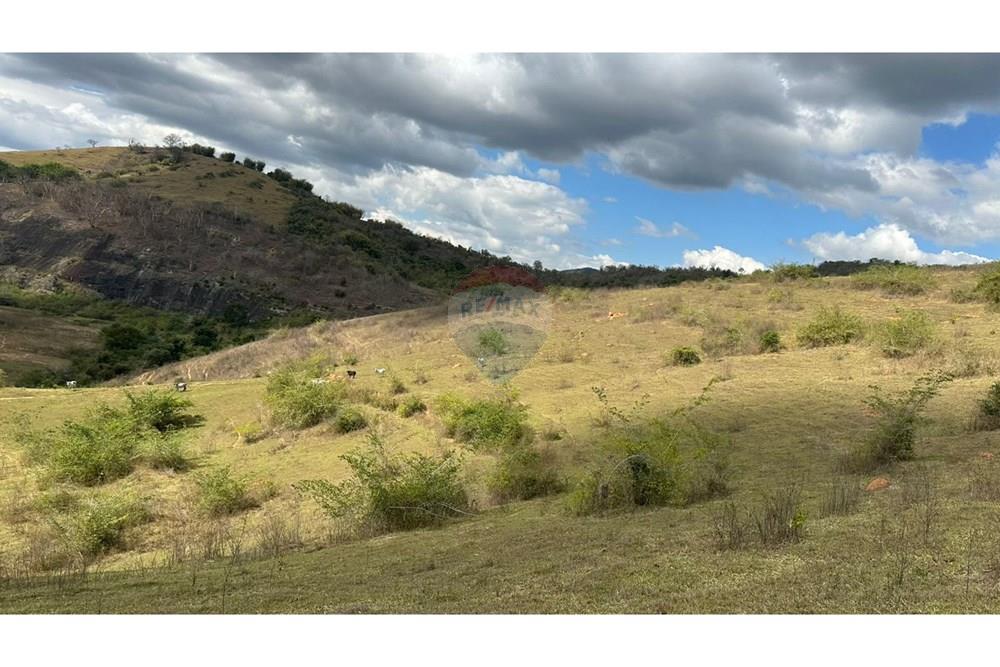 Chácara / Sítio / Fazenda - Venda - Cantagalo , Rio de Janeiro - ac5f0302-32b9-45fa-a87d-2b9570302963.JPG - 860291041-3
