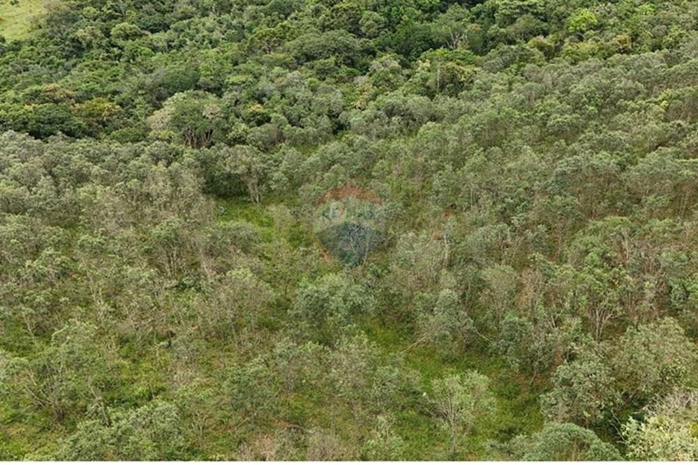 Terreno - Venda - Liberdade , Minas Gerais - sitio giffa 6.jpg - 860271009-18