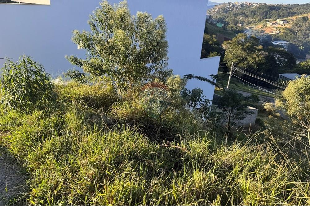 Terreno - Venda - Juiz de Fora , Minas Gerais - IMG_1555.JPEG - 860301001-617