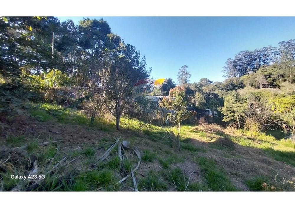 Chácara / Sítio / Fazenda - Venda - Juiz de Fora , Minas Gerais - IMG-20250806-WA0079.jpg - 860231032-15