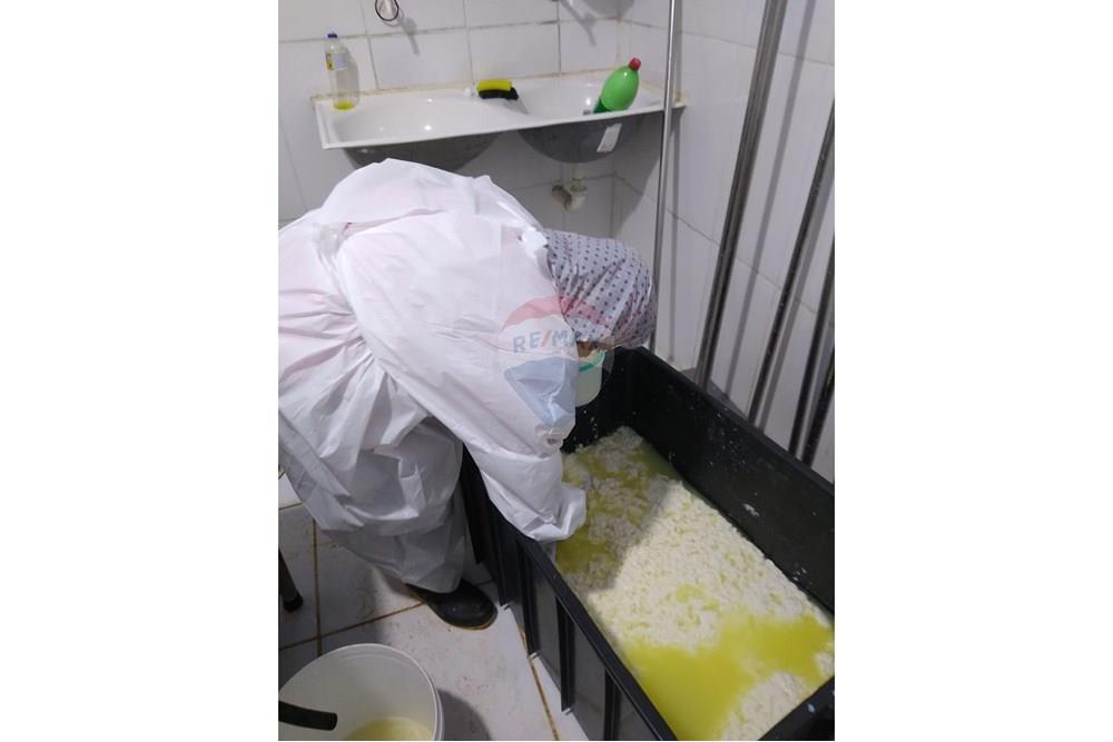 Chácara / Sítio / Fazenda - Venda - Juiz de Fora , Minas Gerais - 97802a3f-2f73-4f75-9ea9-08df6afb5f49.JPG - 860291033-68