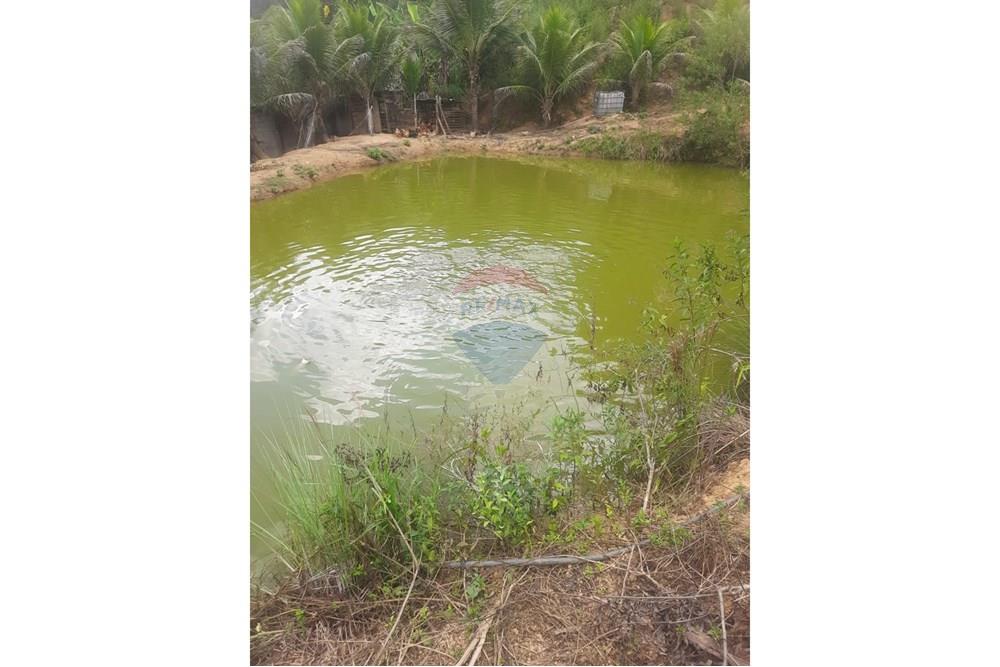 Chácara / Sítio / Fazenda - Venda - Ewbank da Câmara , Minas Gerais - WhatsApp Image 2025-04-09 at 00.41.42.jpeg - 860231001-211