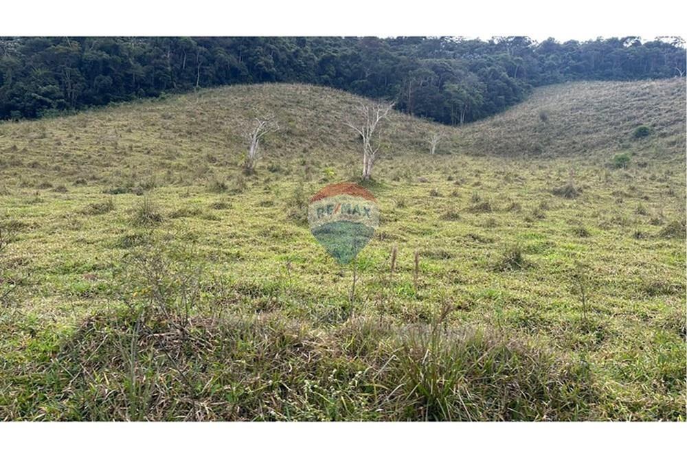 Chácara / Sítio / Fazenda - Venda - Lamim , Minas Gerais - L_4723758a-a6e4-4f59-a791-0f81c26d97a4.jpg - 860291033-115