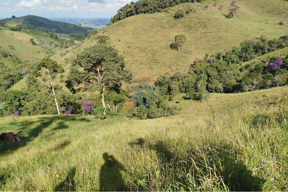 Fazenda - Venda - Barbacena , Minas Gerais - IMG_20250402_150133.jpg - 860391012-32