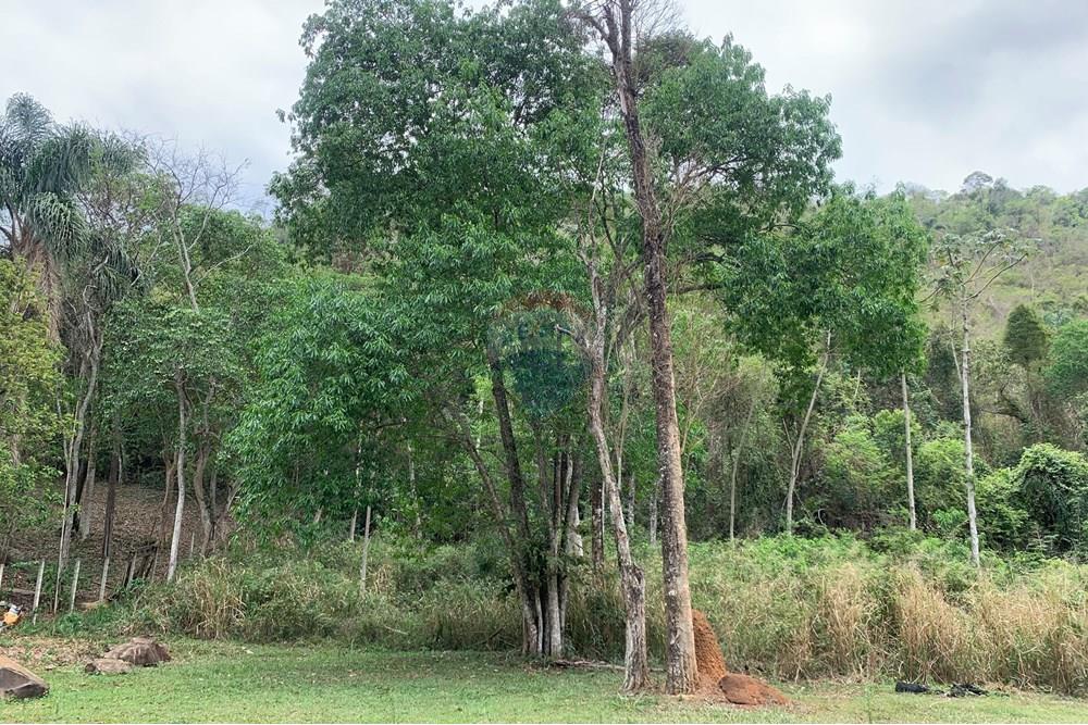 Terreno - Venda - Juiz de Fora , Minas Gerais - sebastiana4.jpg - 860271016-6