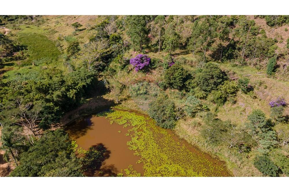 Terreno - Venda - Juiz de Fora , Minas Gerais - LOTE5-17.jpg - 860211017-53