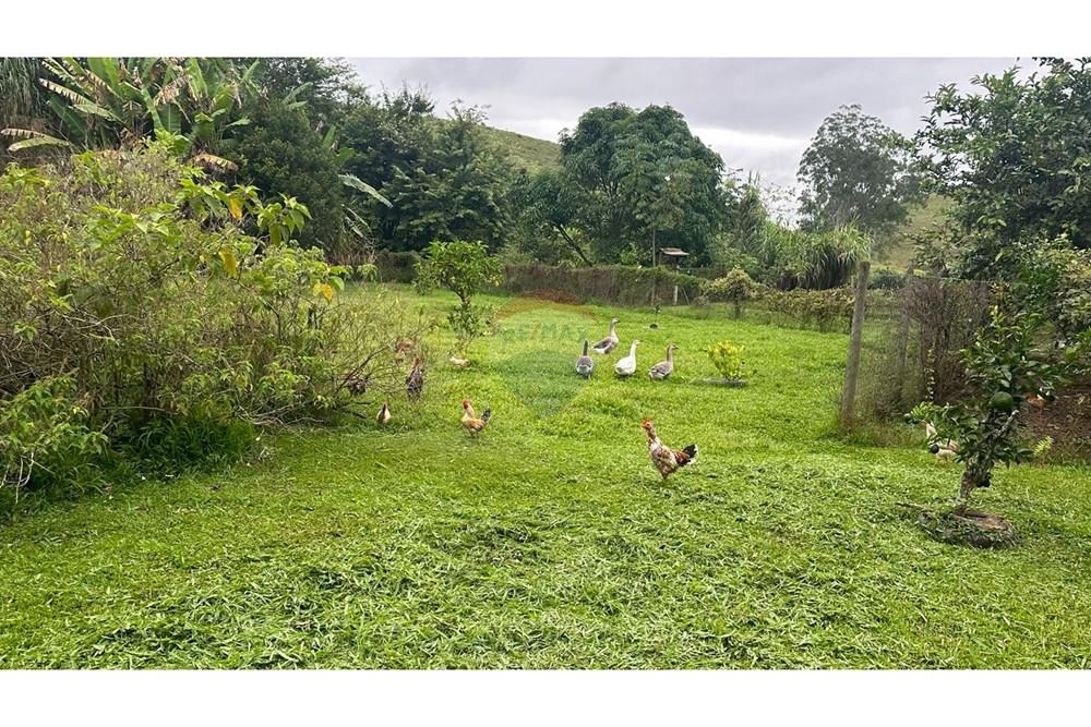 Chácara / Sítio / Fazenda - Venda - Rio Novo , Minas Gerais - RIO NOVO (37).JPG - 860291033-98