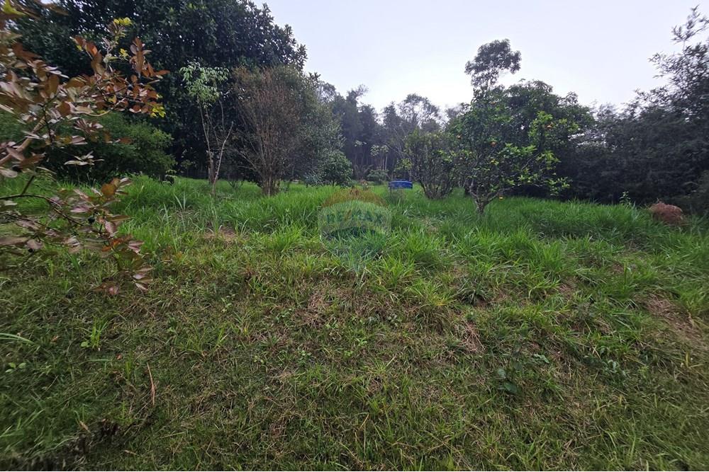 Chácara / Sítio / Fazenda - Venda - Juiz de Fora , Minas Gerais - 37.jpg - 860231001-221