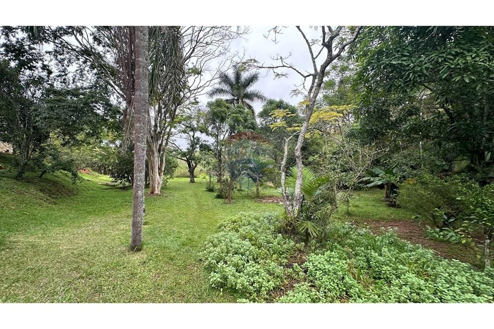 Chácara / Sítio / Fazenda - Venda - Rio Novo , Minas Gerais - RIO NOVO (33).JPG - 860291033-98