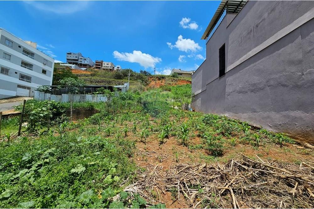 Terreno - Venda - Muriaé , Minas Gerais - IMG-20251104-WA0003.jpg - Fachada - 860371029-13