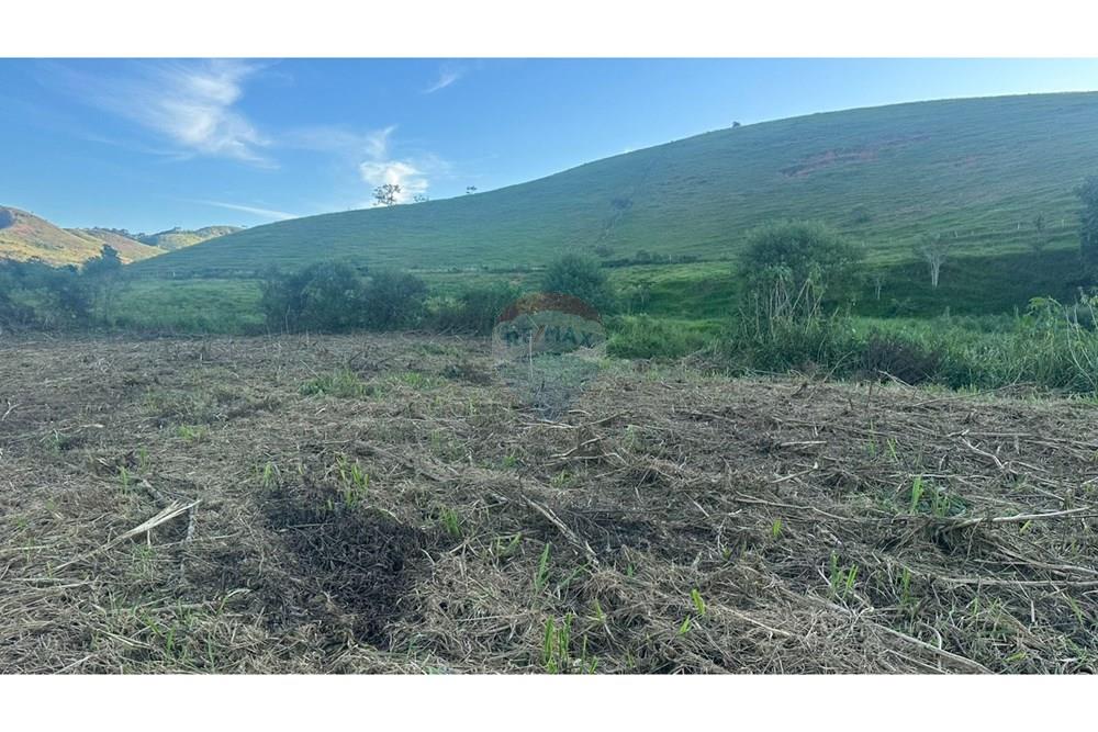 Terreno - Venda - Santana do Deserto , Minas Gerais - 53d20273-641f-4290-87f2-42b32327e9b2.JPG - 860291033-111