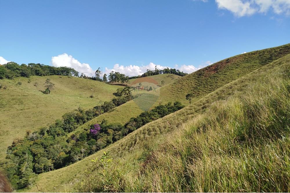 Fazenda - Venda - Barbacena , Minas Gerais - IMG_20250402_150140.jpg - 860391012-32