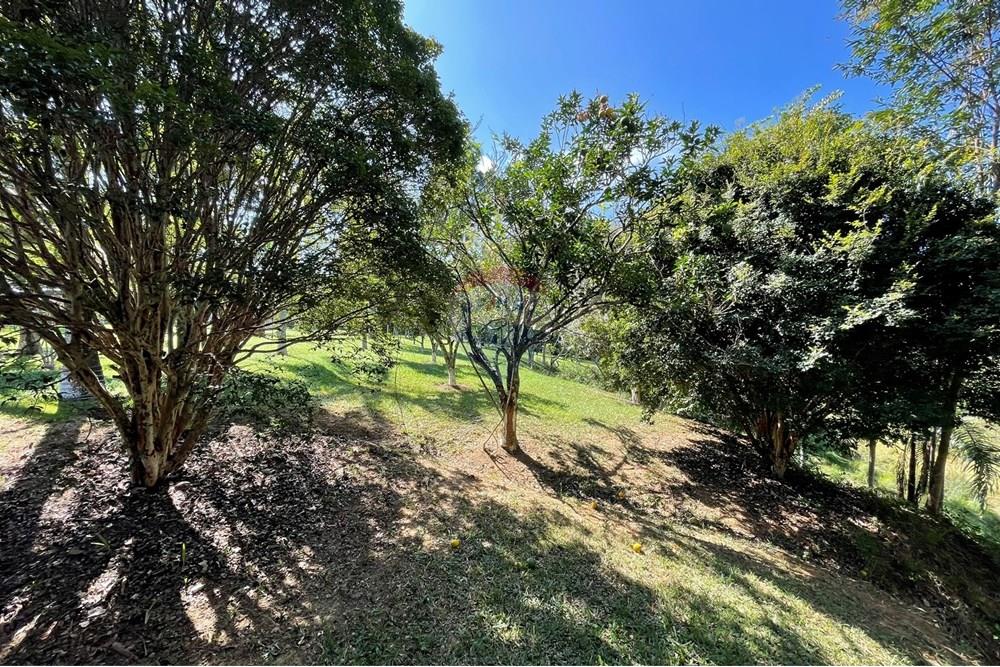 Chácara / Sítio / Fazenda - Venda - Goianá , Minas Gerais - IMG_4502.JPEG - 860301009-486