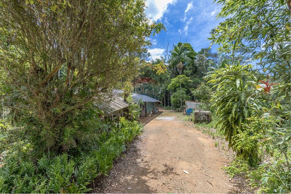 Chácara / Sítio / Fazenda - Venda - Juiz de Fora , Minas Gerais - FOTOIMOB-19.jpg - 860431023-209