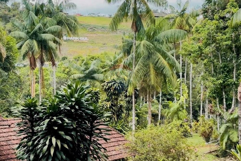 Chácara / Sítio / Fazenda - Venda - Juiz de Fora , Minas Gerais - Sem título.jpg - 860431023-209