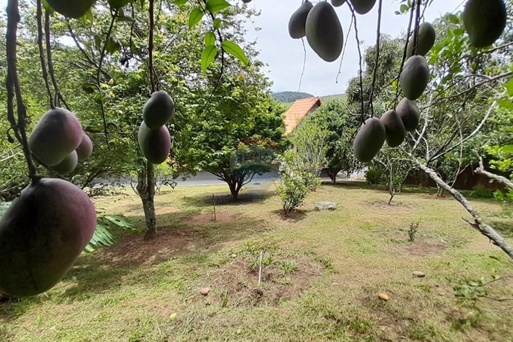 Chácara / Sítio / Fazenda - Venda - Juiz de Fora , Minas Gerais - 55.jpg - Quintal - 860231042-10