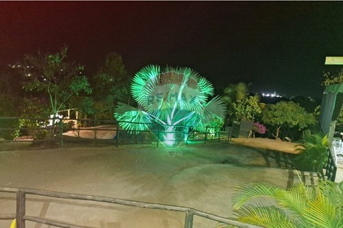 Slider Image Thumbnail