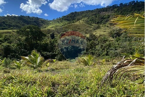 Venda-Terreno-Sítio Córrego do Tribuna, Barra Alegre , sem n°  - Sítio Turístico Fazenda do Zaca RPPN  - Barra Alegre , Ipatinga , Minas Gerais , 35164899-870711007-44
