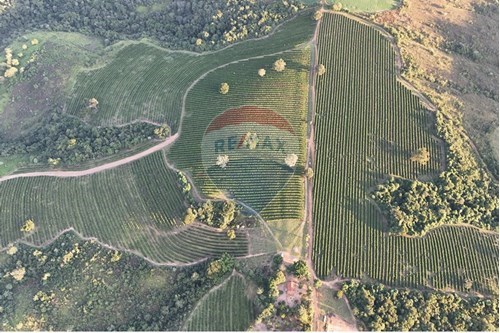 Venda-Fazenda-Centro , Ibiá , Minas Gerais , 38950000-870431012-52