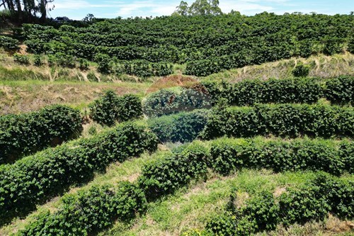 Slider Image Thumbnail