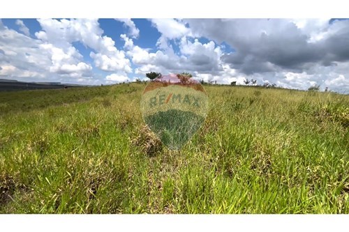 Venda-Fazenda-Centro , São Roque de Minas , Minas Gerais , 37927000-870431039-43