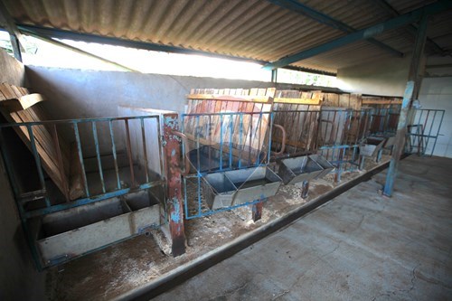 Slider Image Thumbnail