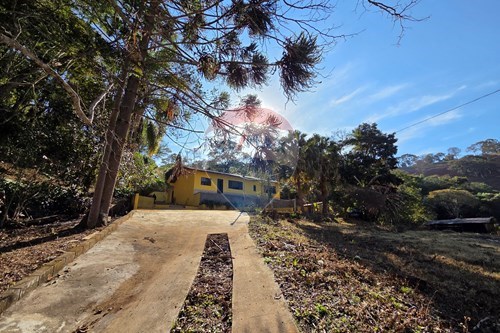 Venda-Chácara / Sítio / Fazenda-Centro , Bandeira do Sul , Minas Gerais , 37740000-870361053-16