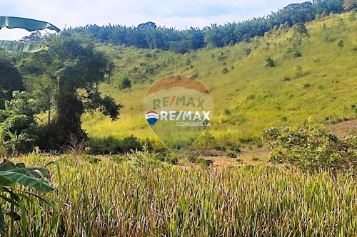 Venda-Chácara / Sítio / Fazenda-Santa Constância , s/n  - Santa Constância  - Centro , Ipanema , Minas Gerais , 36950000-870451001-121