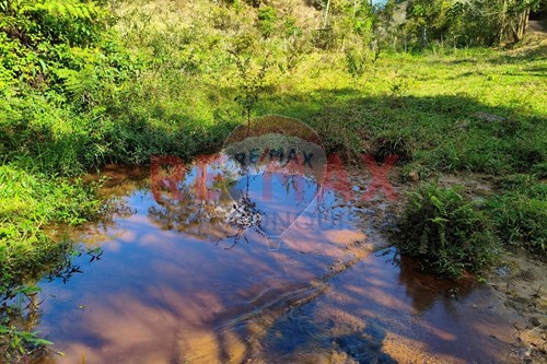 Venda-Chácara / Sítio / Fazenda-Córrego do Triunfo , s/n  - Perto da Usina da Pipoca  - Centro , Ipanema , Minas Gerais , 36950000-870451013-72