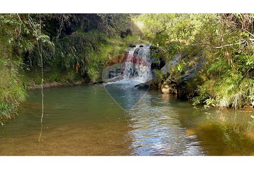 Venda-Fazenda-Centro , São Roque de Minas , Minas Gerais , 37928000-870431039-39