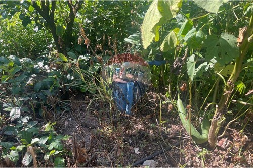 Slider Image Thumbnail