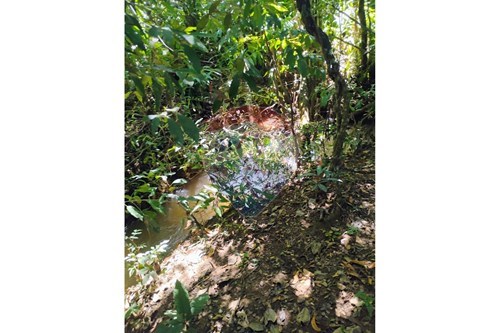 Slider Image Thumbnail