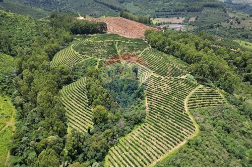 Slider Image Thumbnail