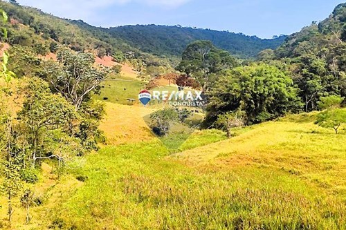 Venda-Chácara / Sítio / Fazenda-Santa Constância , s/n  - Santa Constância  - Centro , Ipanema , Minas Gerais , 36950000-870451001-122