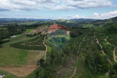Venda-Fazenda-Zona Rural , Caconde , São Paulo , 13770-000-870361041-102