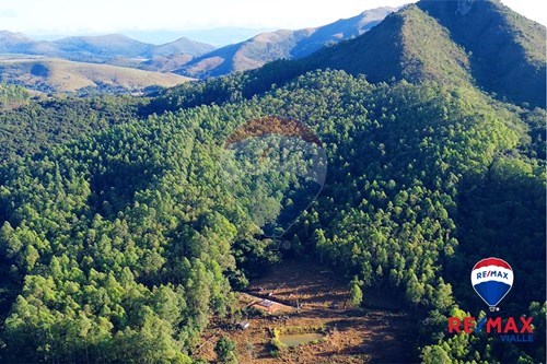 Venda-Chácara / Sítio / Fazenda-FAZENDA MARACUJÁ - Praça Alibenides , 0000  - Fazenda Vista Alegre  - Centro , São Roque de Minas , Minas Gerais , 37928000-870731003-7