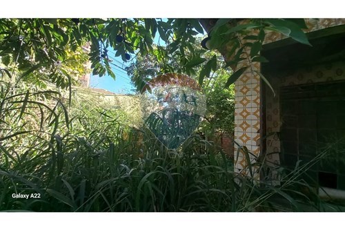 Alugar-Casa Comercial-Caiçara , Belo Horizonte , Minas Gerais , 30770560-870411003-1